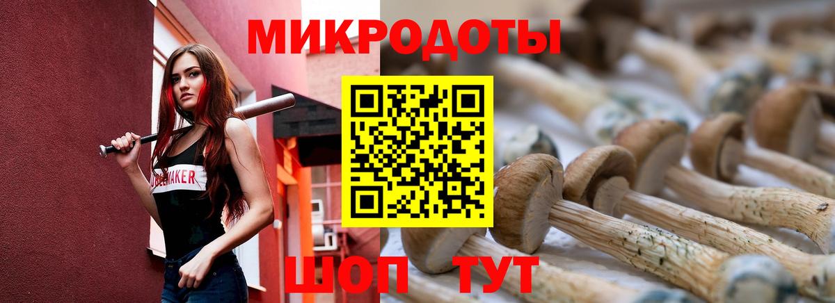 Псилоцибиновые грибы GOLDEN TEACHER Изобильный